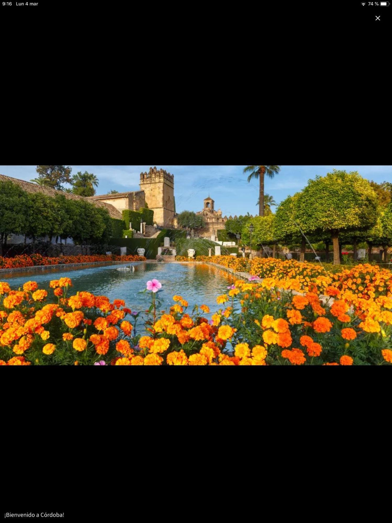 Ferienwohnung Centro Historico Mezquita Juderia La Preferida Córdoba Exterior foto