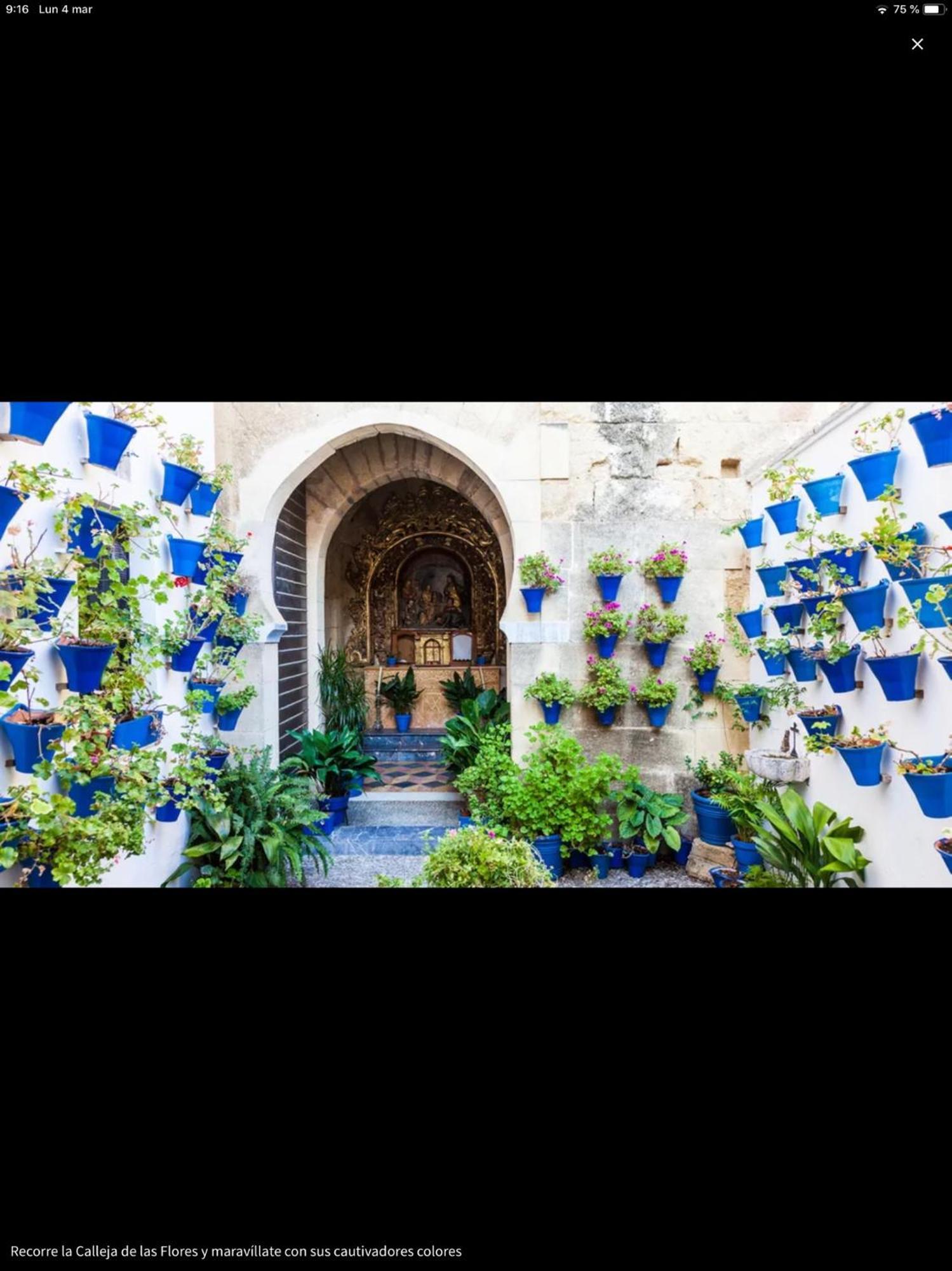 Ferienwohnung Centro Historico Mezquita Juderia La Preferida Córdoba Exterior foto