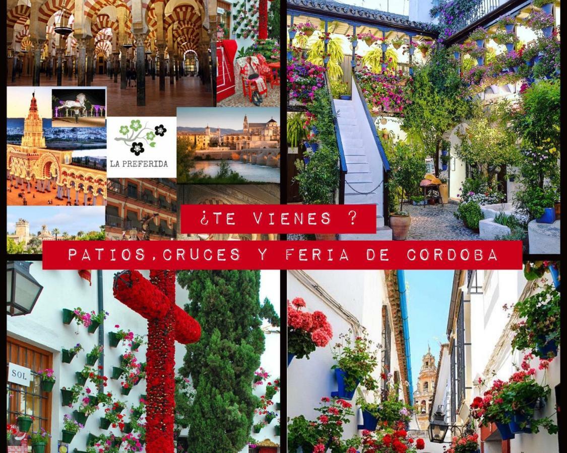 Ferienwohnung Centro Historico Mezquita Juderia La Preferida Córdoba Exterior foto